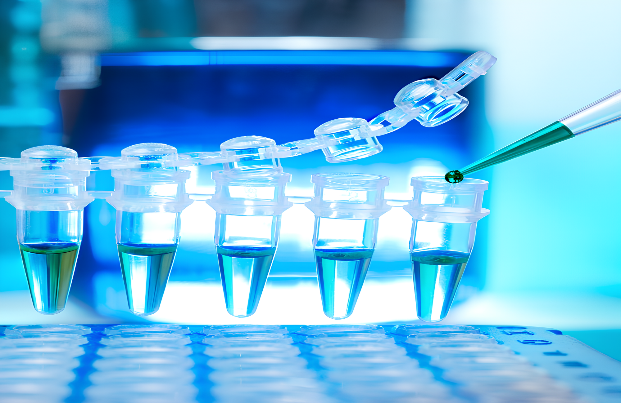 生物试剂研发中心